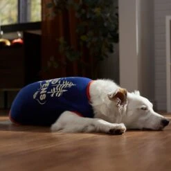 Frisco Shed Happens Dog & Cat T-Shirt 12 Frisco Shed Happens Dog & Cat T-Shirt -Meowverse Store 353698 PT7. AC SS1800 V1660749629