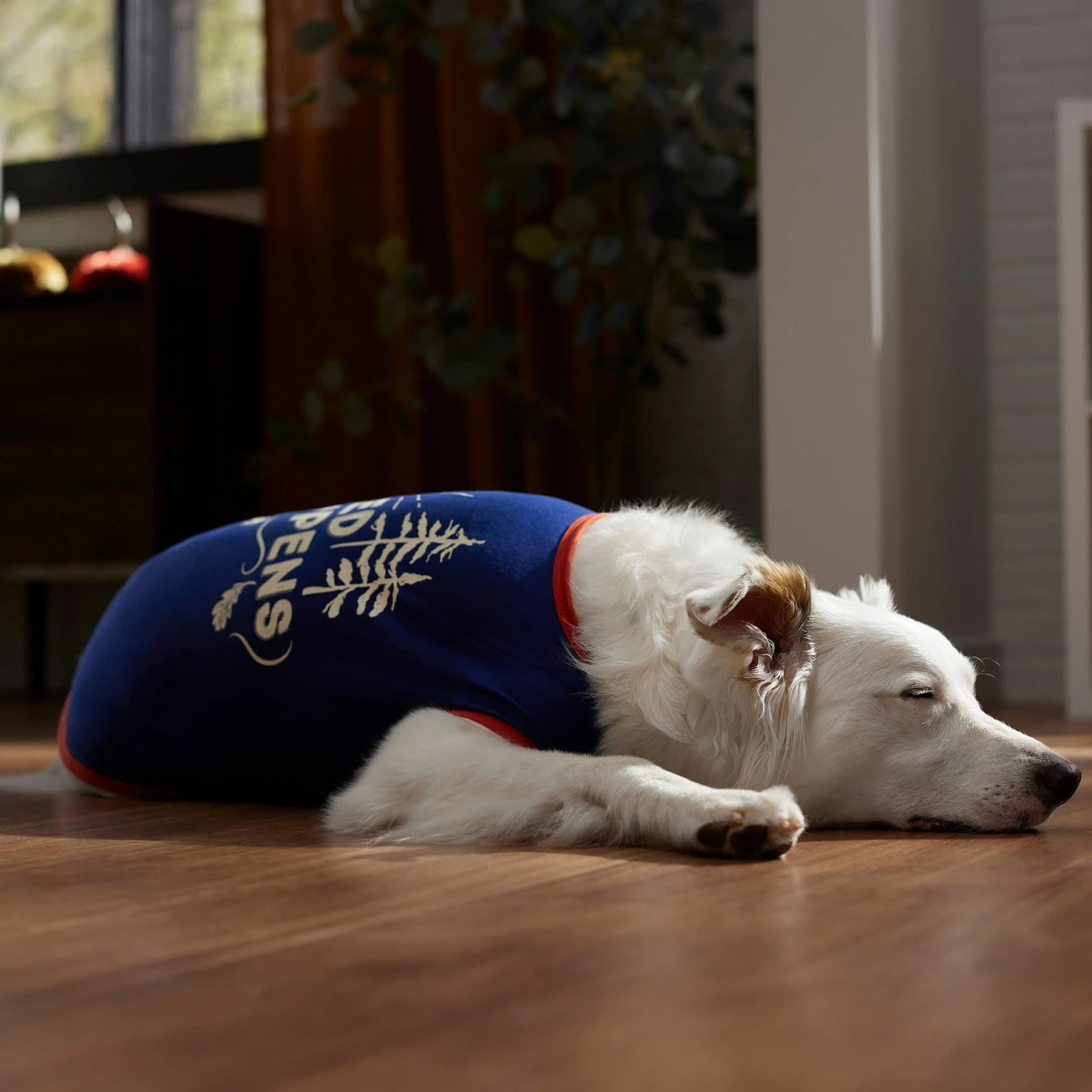 Frisco Shed Happens Dog & Cat T-Shirt 6 Frisco Shed Happens Dog & Cat T-Shirt - Image 6