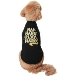 Frisco Nap Hard Play Hard Dog & Cat T-Shirt 9 Frisco Nap Hard Play Hard Dog & Cat T-Shirt -Meowverse Store 353713 PT2. AC SS1800 V1659010872