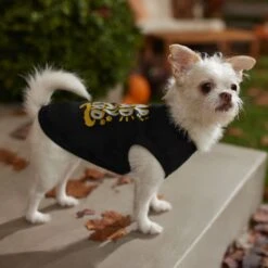 Frisco Nap Hard Play Hard Dog & Cat T-Shirt 12 Frisco Nap Hard Play Hard Dog & Cat T-Shirt -Meowverse Store 353713 PT7. AC SS1800 V1660750172