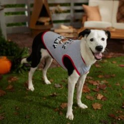 Frisco Little Champ Dog & Cat T-Shirt -Meowverse Store 353722 PT7. AC SS1800 V1660749632