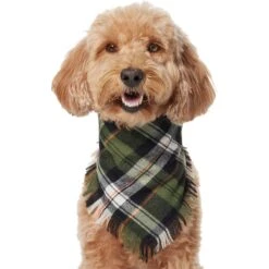 Frisco Plaid Fringe Dog & Cat Bandana -Meowverse Store 353769 PT2. AC SS1800 V1659010812