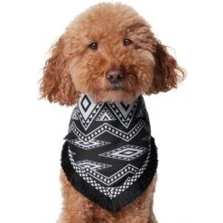Frisco Southwest Fringe Dog & Cat Bandana -Meowverse Store 353783 PT2. AC SS1800 V1659007315
