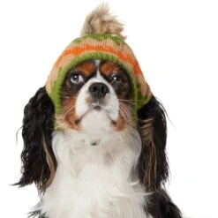 Frisco Striped Poof Dog & Cat Knitted Hat -Meowverse Store 353793 PT2. AC SS1800 V1659008241