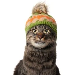 Frisco Striped Poof Dog & Cat Knitted Hat -Meowverse Store 353793 PT3. AC SS1800 V1659011014