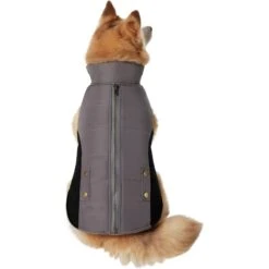 Frisco Mediumweight Faux Zipper Dog & Cat Jacket -Meowverse Store 353817 PT2. AC SS1800 V1659010334