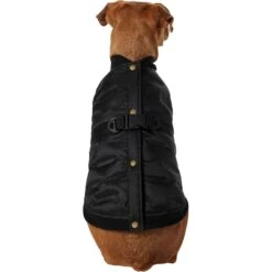 Frisco Lightweight Belted Puffer Dog & Cat Jacket 9 Frisco Lightweight Belted Puffer Dog & Cat Jacket -Meowverse Store 353825 PT2. AC SS1800 V1659010815
