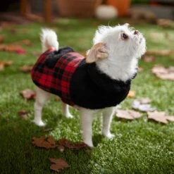 Frisco Mediumweight Plaid Faux Fur Dog & Cat Jacket 14 Frisco Mediumweight Plaid Faux Fur Dog & Cat Jacket -Meowverse Store 353847 PT7. AC SS1800 V1661274842
