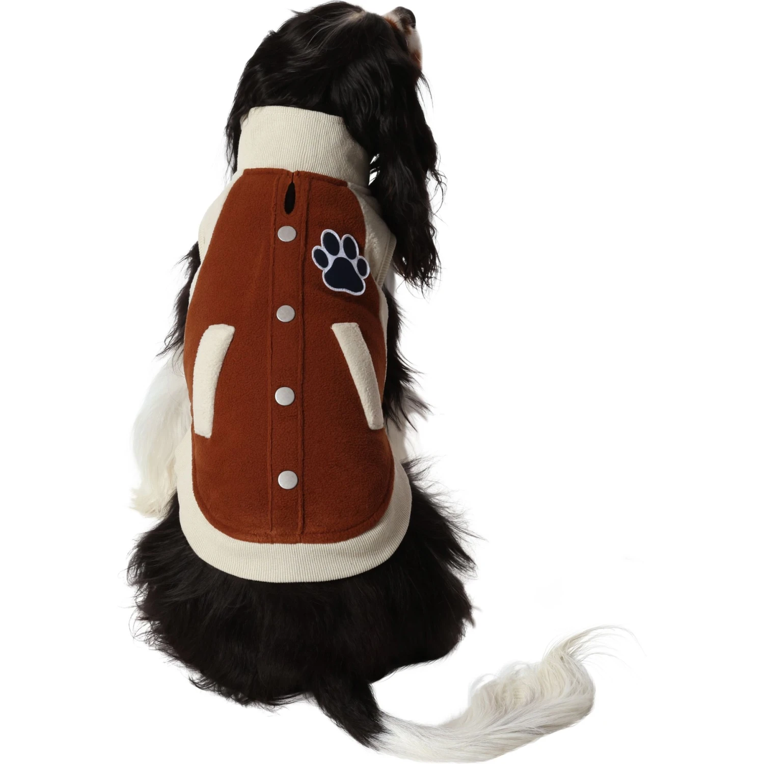 Frisco Lightweight Varsity Dog & Cat Jacket 3 Frisco Lightweight Varsity Dog & Cat Jacket - Image 3