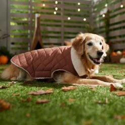 Frisco Mid-Heavyweight Fleece Lined Quilted Dog & Cat Coat 14 Frisco Mid-Heavyweight Fleece Lined Quilted Dog & Cat Coat -Meowverse Store 353877 PT7. AC SS1800 V1660750171