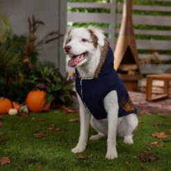 Frisco Mid-Heavyweight Plaid Fleece Lined Dog & Cat Coat 12 Frisco Mid-Heavyweight Plaid Fleece Lined Dog & Cat Coat -Meowverse Store 353885 PT7. AC SS1800 V1660749836