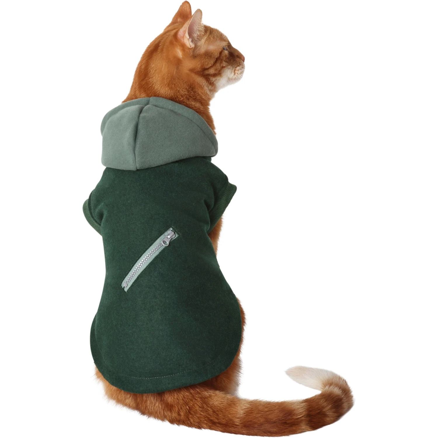 Frisco Lightweight Classic Dog & Cat Coat 1 Frisco Lightweight Classic Dog & Cat Coat