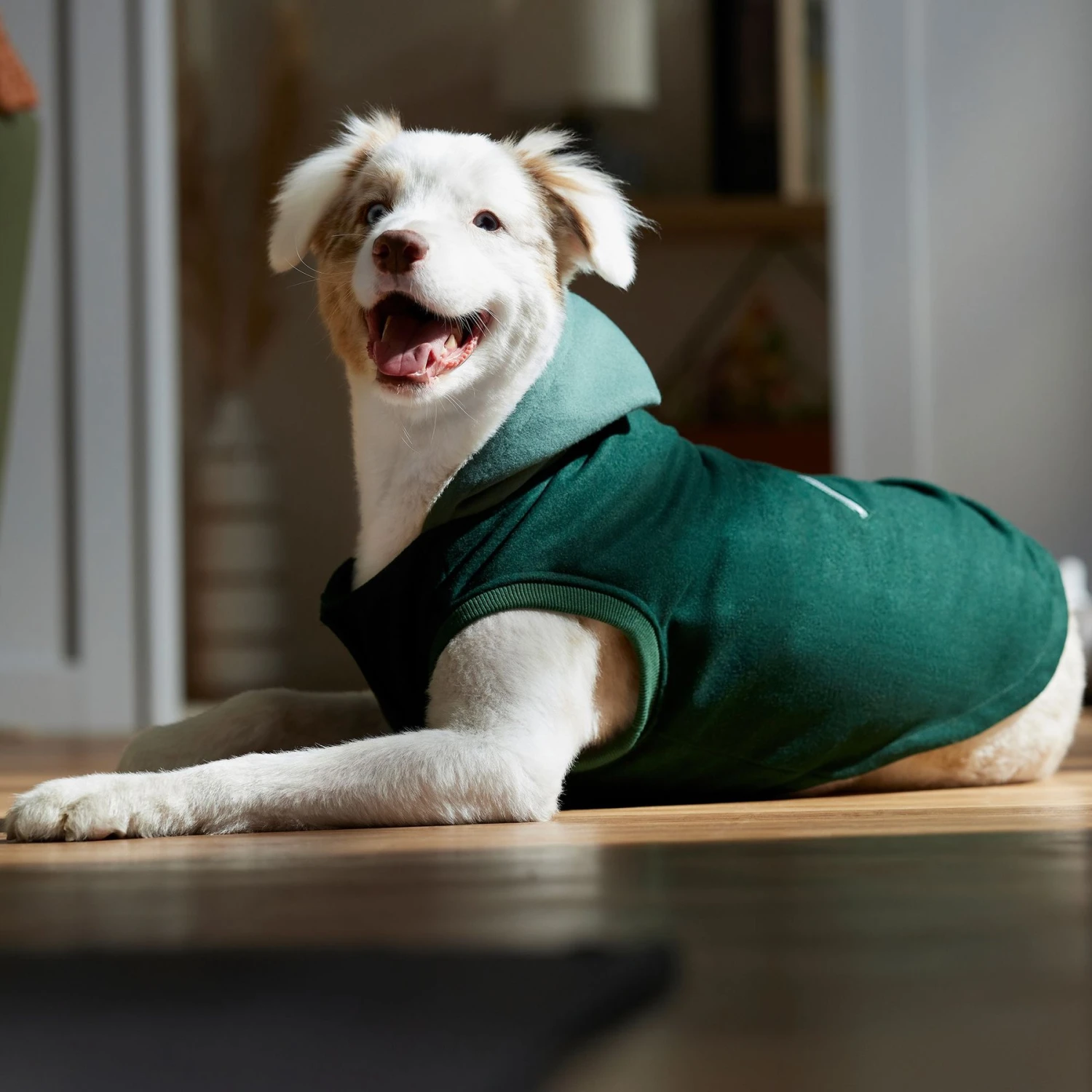 Frisco Lightweight Classic Dog & Cat Coat 6 Frisco Lightweight Classic Dog & Cat Coat - Image 6