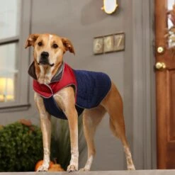 Frisco Mediumweight Cubed Dog & Cat Coat -Meowverse Store 353917 PT7. AC SS1800 V1660750073