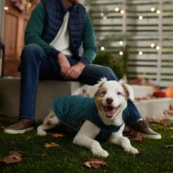 Frisco Mediumweight Reversible Dog & Cat Coat -Meowverse Store 353932 PT7. AC SS1800 V1660749442