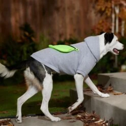 Frisco Dog & Cat Hoodie With Removable Fanny Pack -Meowverse Store 353965 PT7. AC SS1800 V1660749475