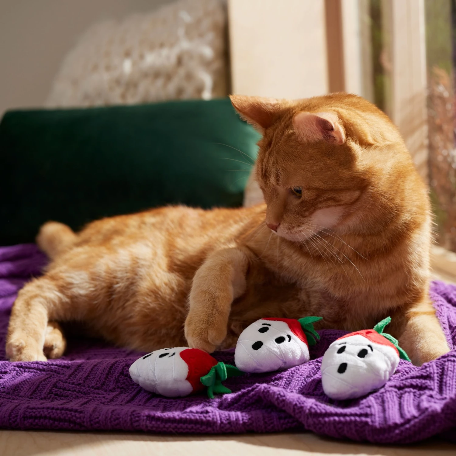 Frisco Halloween Ghost Strawberries Plush Cat Toy With Catnip, 3 Count 3 Frisco Halloween Ghost Strawberries Plush Cat Toy With Catnip, 3 Count - Image 3