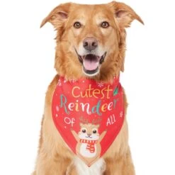 Frisco Cutest Reindeer Of All Dog & Cat Bandana -Meowverse Store 357931 PT2. AC SS1800 V1660756046
