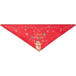Frisco Cutest Reindeer Of All Dog & Cat Bandana -Meowverse Store 357931 PT5. AC SS1800 V1660756046