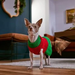 Frisco Penguin Dog & Cat Sweater Dress -Meowverse Store 358207 PT7. AC SS1800 V1661889744