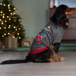 Frisco Naughty, Nice, I Tried Dog & Cat T-Shirt -Meowverse Store 358301 PT7. AC SS1800 V1661797473