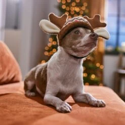 Frisco Antler Fair Isle Dog & Cat Hat 10 Frisco Antler Fair Isle Dog & Cat Hat -Meowverse Store 358313 PT4. AC SS1800 V1661798696