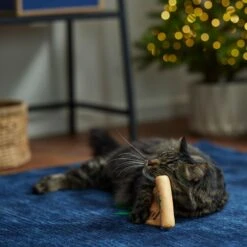 Frisco Holiday Santa's List Plush & Feather Cat Toy With Catnip 6 Frisco Holiday Santa's List Plush & Feather Cat Toy With Catnip -Meowverse Store 360895 PT3. AC SS1800 V1661874361