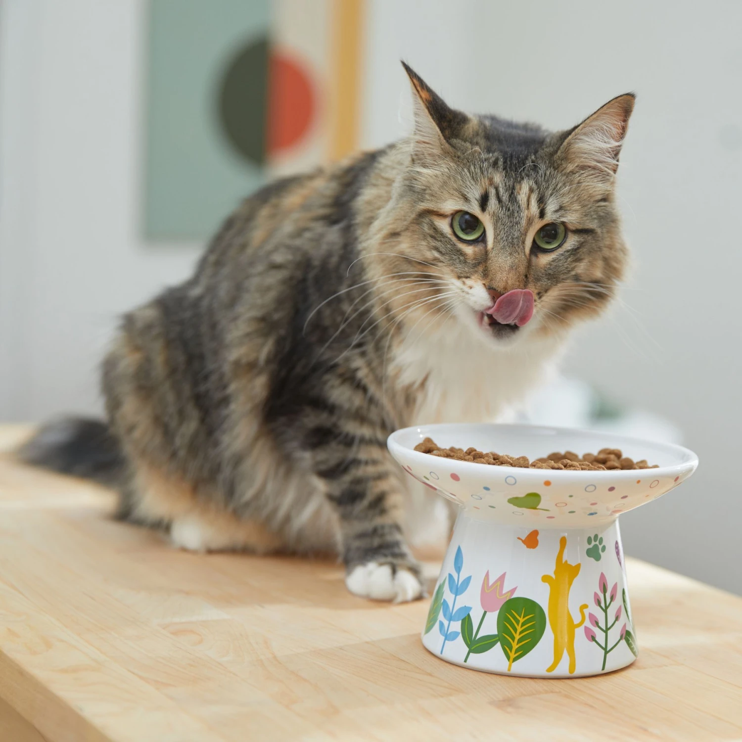 Frisco Cat Face Floral Wide Shape Elevated Non-Skid Ceramic Cat Bowl 3 Frisco Cat Face Floral Wide Shape Elevated Non-Skid Ceramic Cat Bowl - Image 3