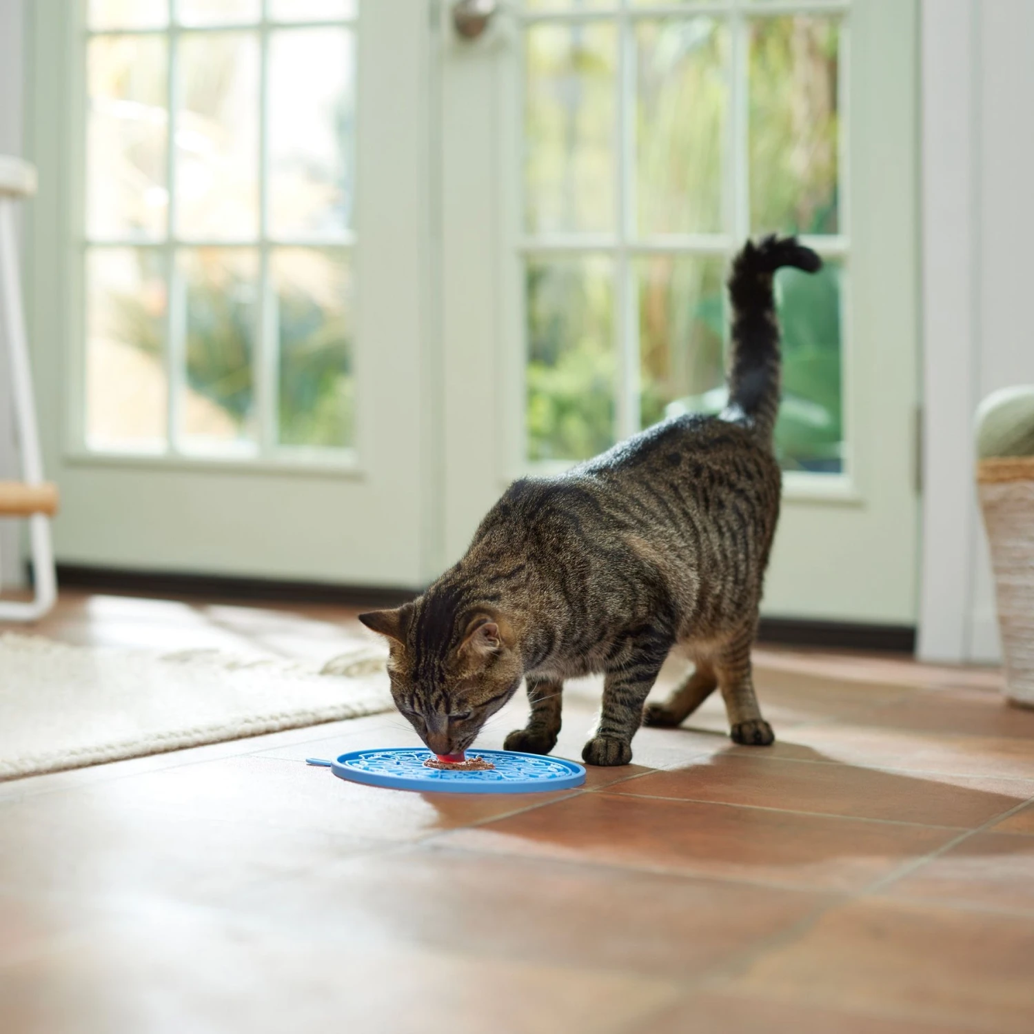 Frisco Non-skid Flower Silicone Dog & Cat Lick Mat, Blue 4 Frisco Non-skid Flower Silicone Dog & Cat Lick Mat, Blue - Image 4