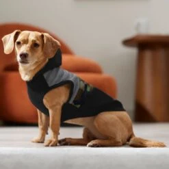 Frisco Army Camo Dog & Cat Hoodie 14 Frisco Army Camo Dog & Cat Hoodie -Meowverse Store 368774 PT7. AC SS1800 V1664994217