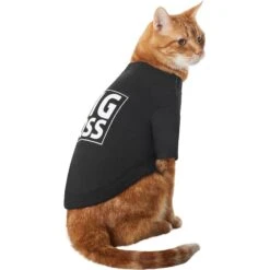Frisco Big Boss Dog & Cat T-Shirt -Meowverse Store 368782 PT2. AC SS1800 V1669100852