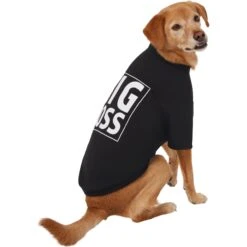 Frisco Big Boss Dog & Cat T-Shirt -Meowverse Store 368782 PT4. AC SS1800 V1669100910