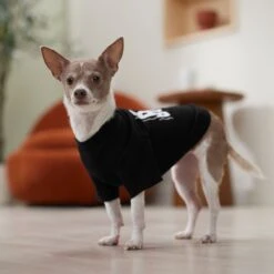 Frisco Big Boss Dog & Cat T-Shirt -Meowverse Store 368782 PT7. AC SS1800 V1664992675