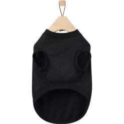 Frisco Birthday Vibe Dog & Cat T-Shirt -Meowverse Store 368790 PT5. AC SS1800 V1664992108