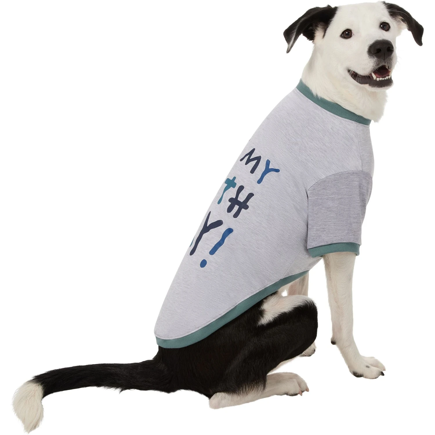 Frisco It's My Birth Day Dog & Cat T-Shirt 4 Frisco It's My Birth Day Dog & Cat T-Shirt - Image 4