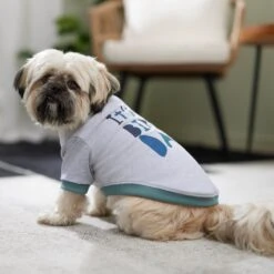 Frisco It's My Birth Day Dog & Cat T-Shirt 12 Frisco It's My Birth Day Dog & Cat T-Shirt -Meowverse Store 368808 PT7. AC SS1800 V1664992107