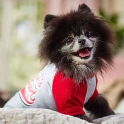 Frisco Mama's Sweetheart Dog & Cat T-Shirt -Meowverse Store 371063 PT7. AC SS1800 V1701796982