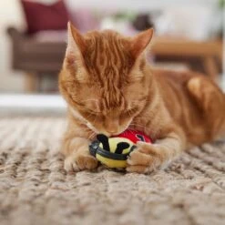 Frisco Valentine Jammin' Ladybug Plush Cat Toy With Catnip 8 Frisco Valentine Jammin' Ladybug Plush Cat Toy With Catnip -Meowverse Store 371081 PT3. AC SS1800 V1668736252