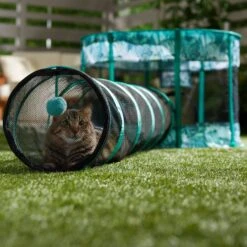Frisco Mesh Outdoor Extra Wide Pop-up Cat Playpen & Tunnel -Meowverse Store 371212 PT6. AC SS1800 V1663094505