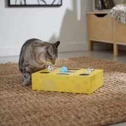Frisco Cheese Interactive Maze Cardboard Cat Toy Box With Catnip -Meowverse Store 506106 PT4. AC SS1800 V1669148185