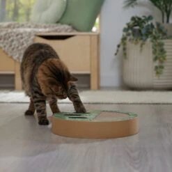 Frisco Interactive Maze & Scratch Cardboard Cat Toy Box With Catnip, Palms -Meowverse Store 506130 PT4. AC SS1800 V1669212028