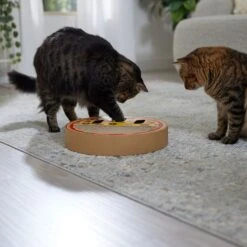 Frisco Interactive Maze & Scratch Cardboard Cat Toy With Catnip, Pizza -Meowverse Store 506154 PT4. AC SS1800 V1669148129