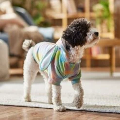 Frisco Wash Effect Bunny Ear Hoodie -Meowverse Store 521374 PT7. AC SS1800 V1699653757