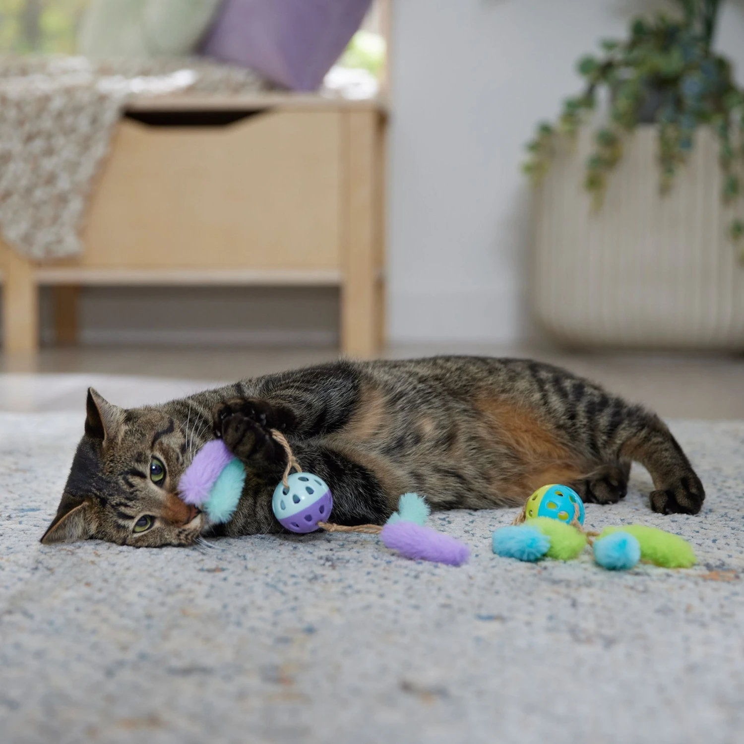 Frisco Fabric & Play Plastic Balls Cat Toy 3 Frisco Fabric & Play Plastic Balls Cat Toy - Image 3