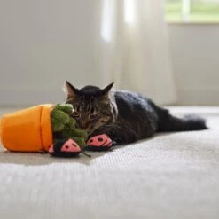 Frisco Spring Potted Plant And Ladybugs Interactive Plush Cat Toy With Catnip -Meowverse Store 541542 PT3. AC SS1800 V1671814448