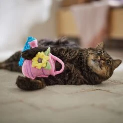 Frisco Spring Watering Can Plush Cat Toy With Catnip -Meowverse Store 541558 PT3. AC SS1800 V1671814448