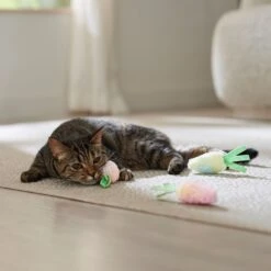 Frisco Easter Carrot Plush Cat Toy With Catnip 6 Frisco Easter Carrot Plush Cat Toy With Catnip -Meowverse Store 550470 PT4. AC SS1800 V1702500564