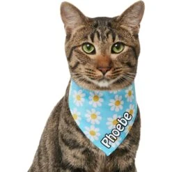 Frisco Personalized Blue Daisy Bandana -Meowverse Store 555206 PT6. AC SS1800 V1669839922