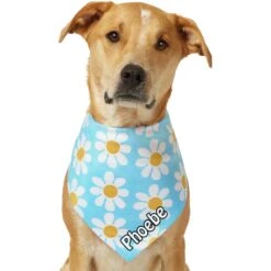 Frisco Personalized Blue Daisy Bandana -Meowverse Store 555206 PT7. AC SS1800 V1669839925