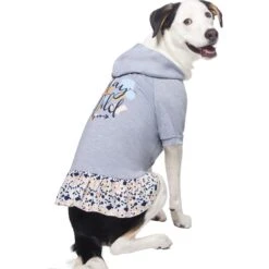 Frisco Stay Wild Dog & Cat Hoodie -Meowverse Store 555366 PT3. AC SS1800 V1674829142